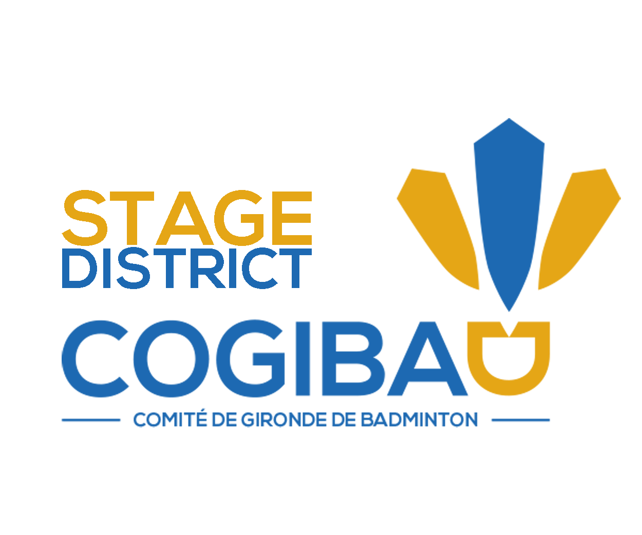 LOGO COGIBAD stage district