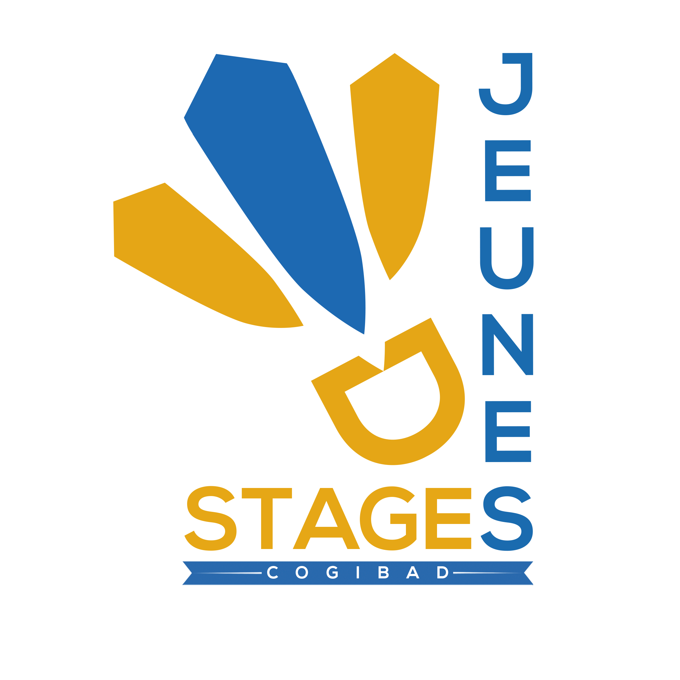 Stages Jeunes